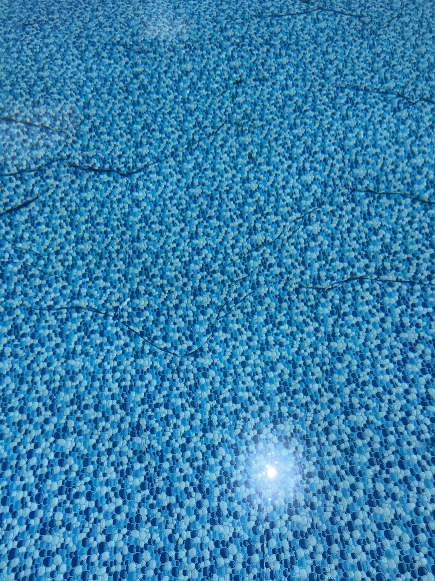 IMG_8023.jpeg