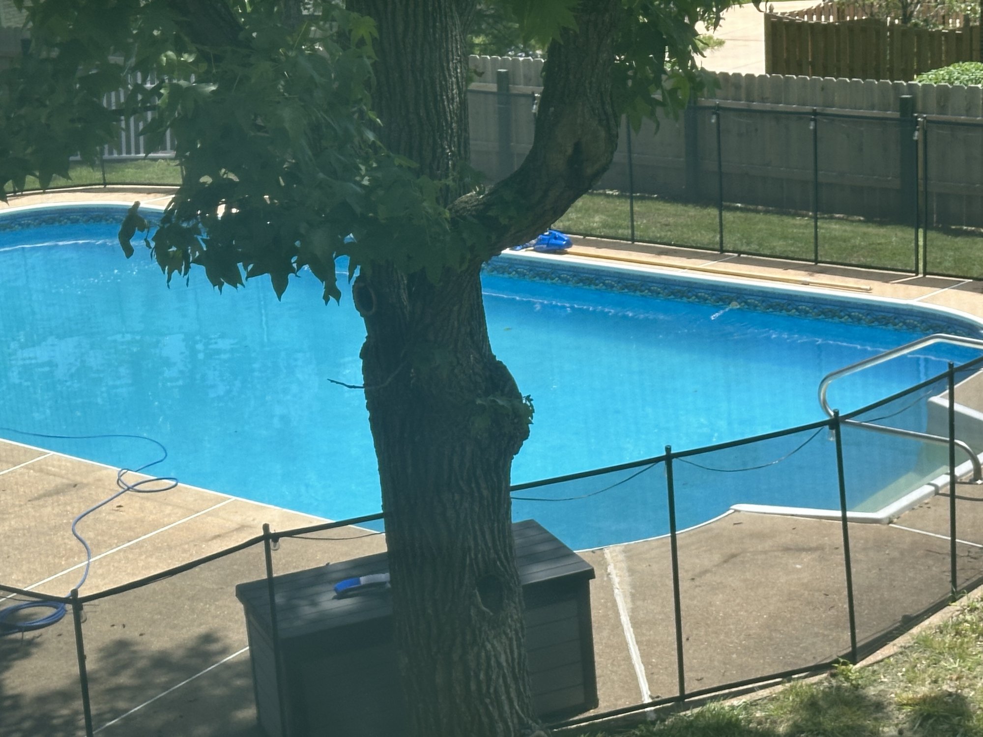 IMG_8071.jpeg