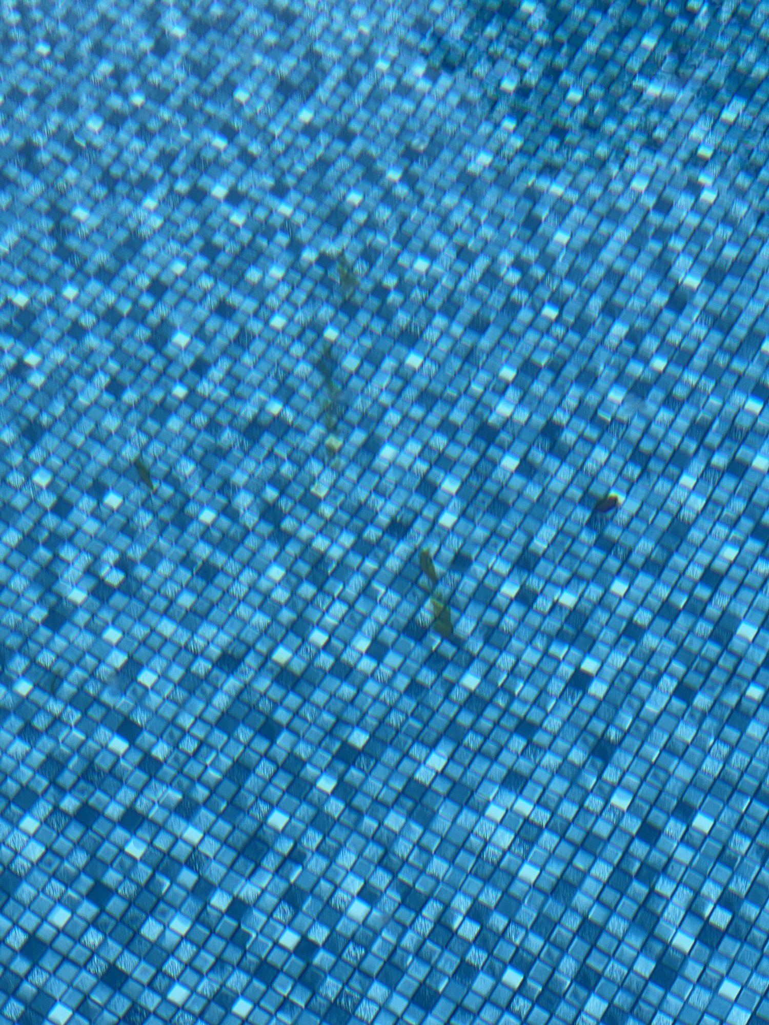IMG_8142.jpeg