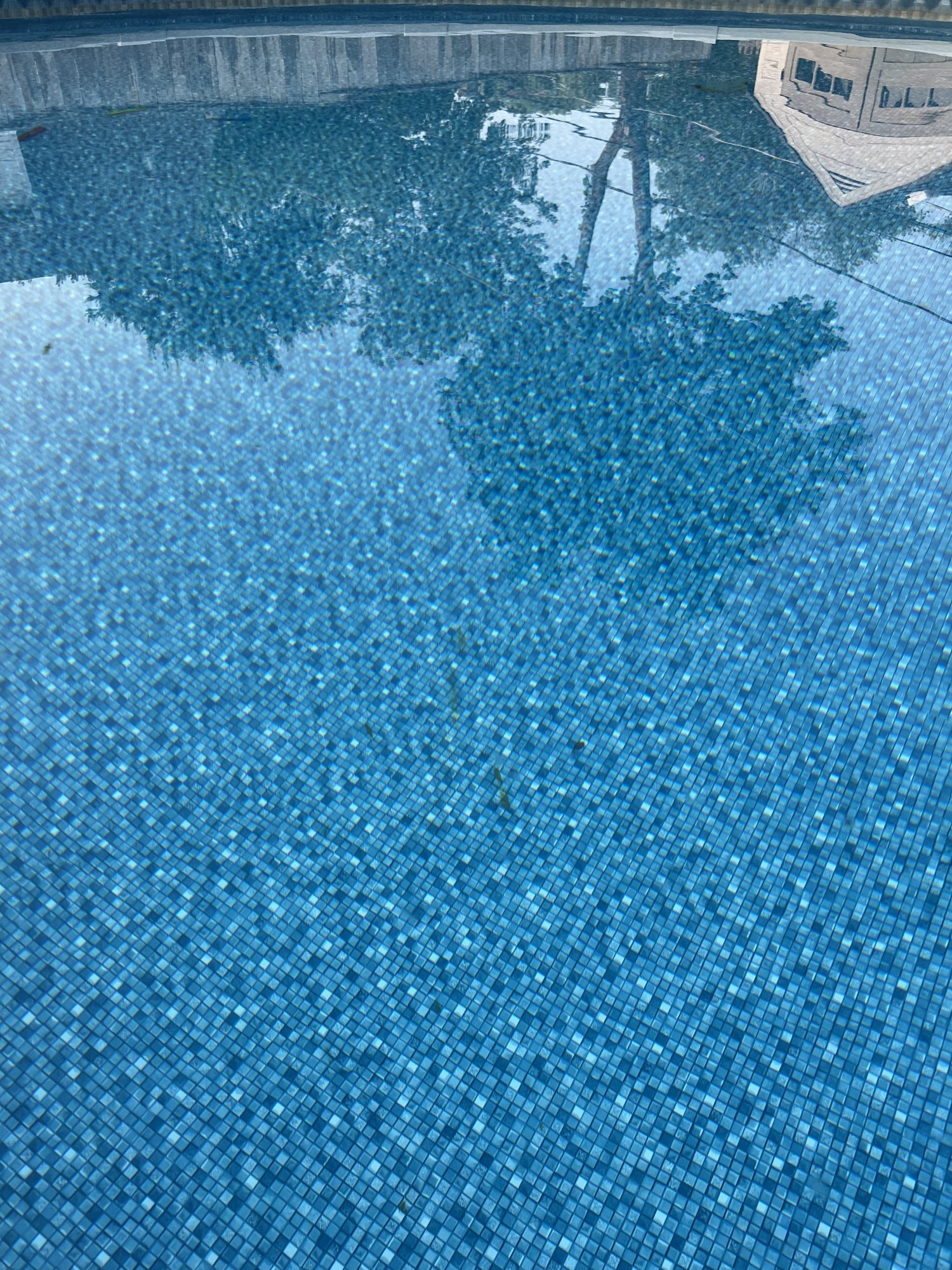 IMG_8143.jpeg