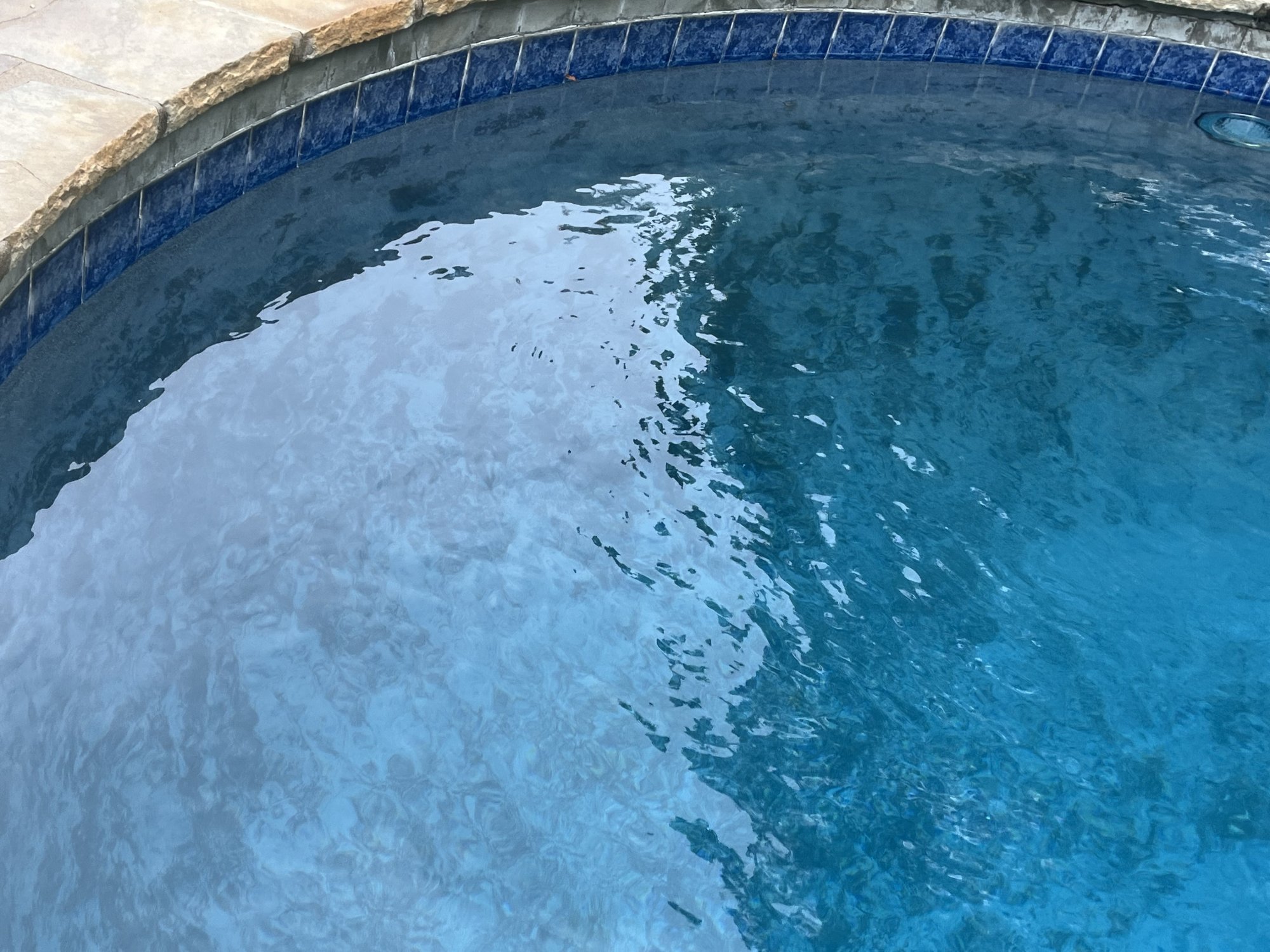 IMG_8201.jpeg