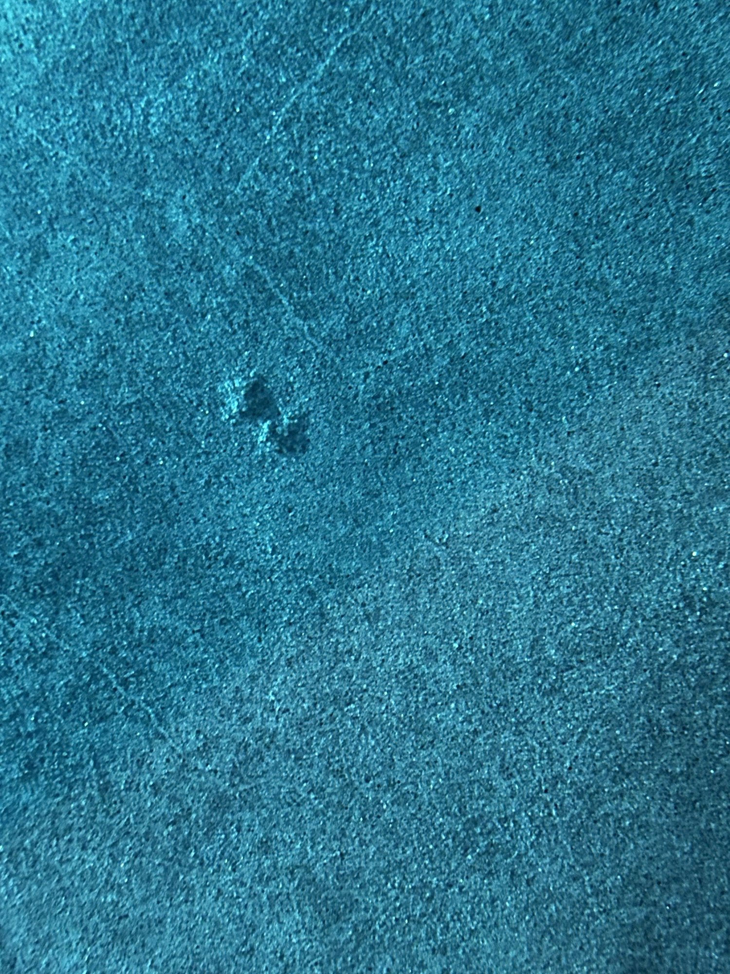 IMG_8243.jpeg