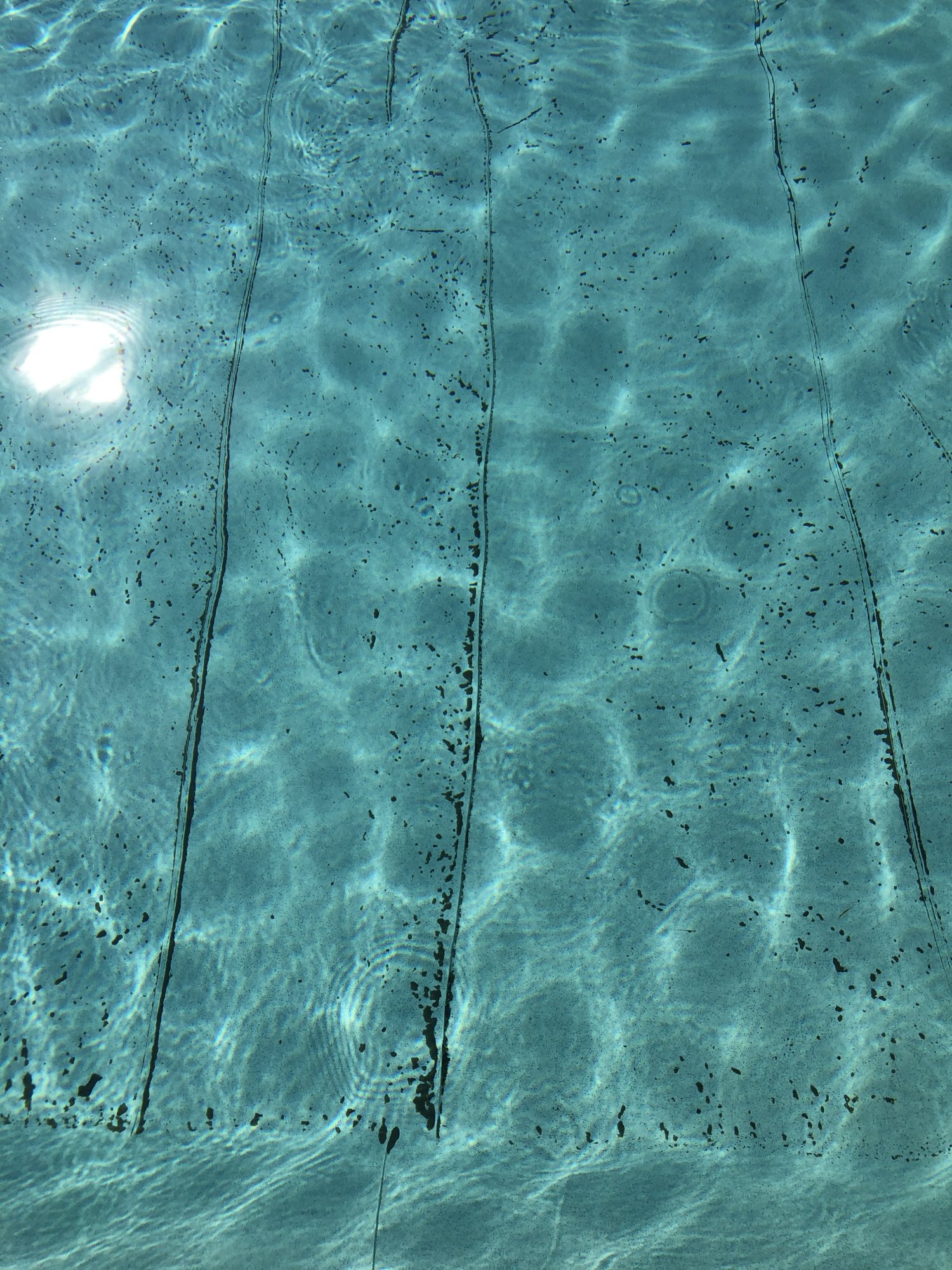IMG_8365.jpeg