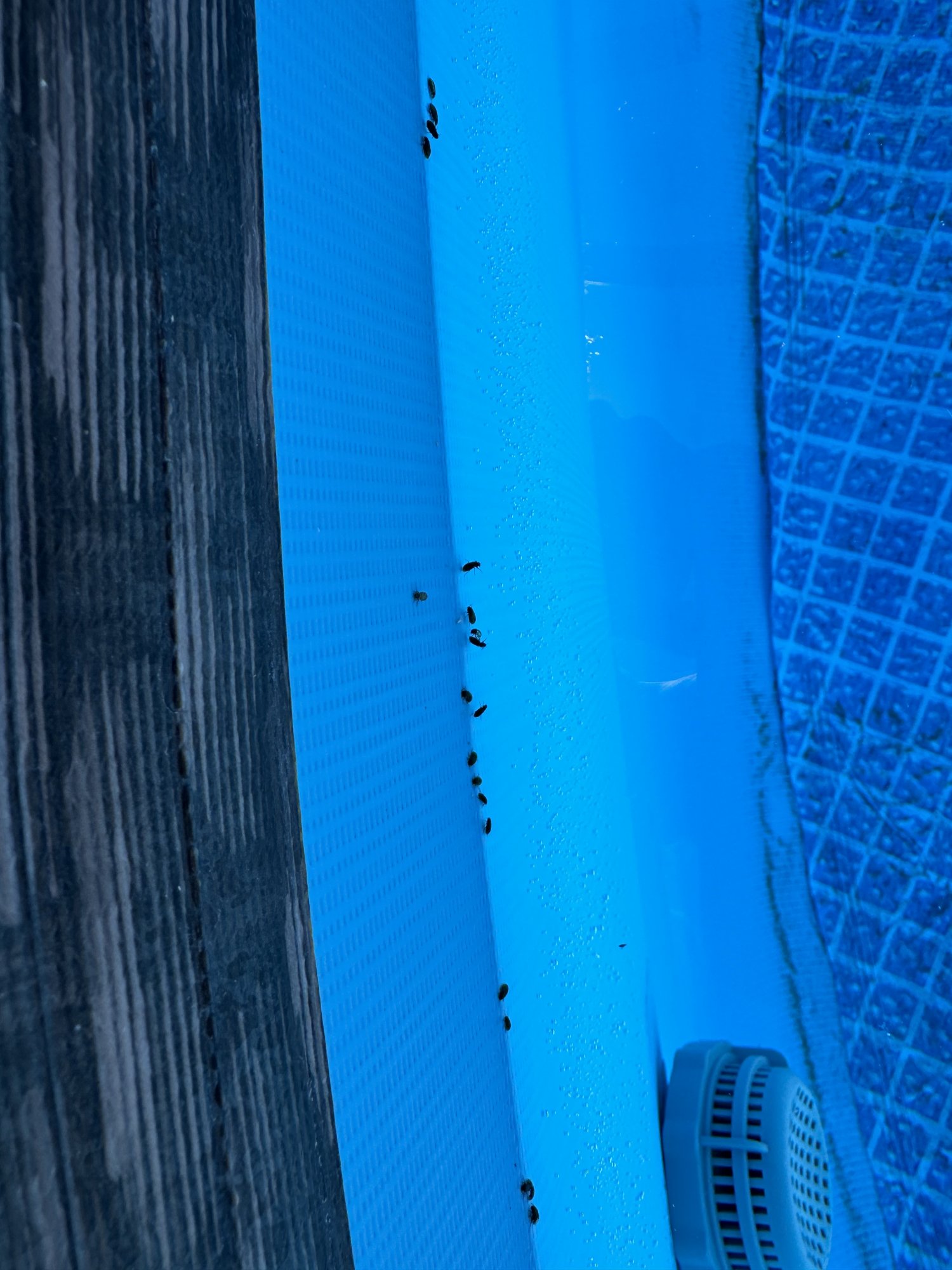 IMG_8410.jpeg