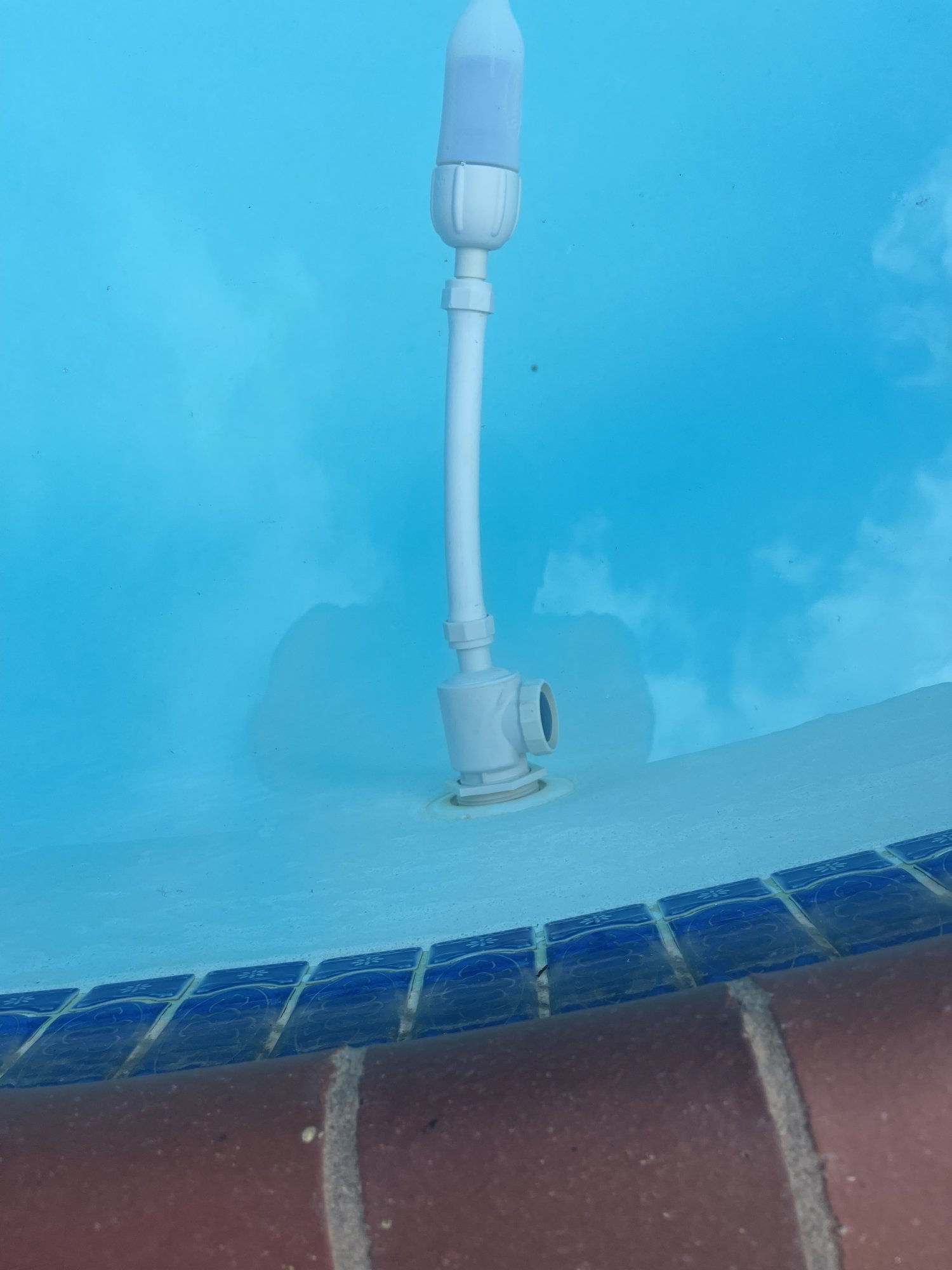 IMG_8496.jpeg