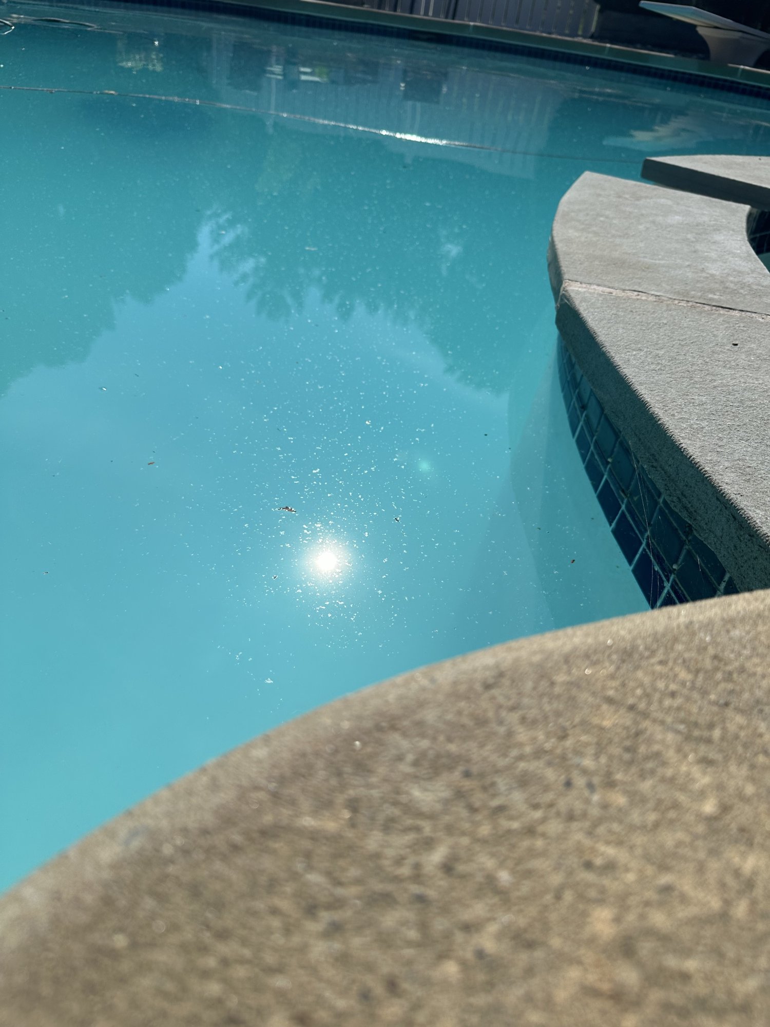 IMG_8574.jpeg