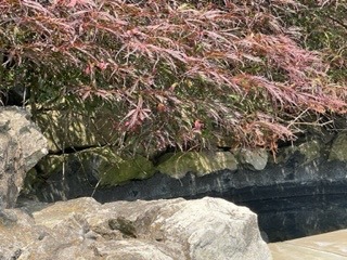 IMG_8853.jpeg