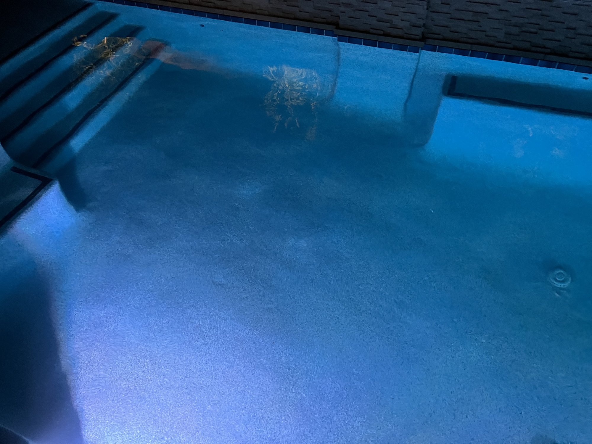 IMG_8890.jpeg