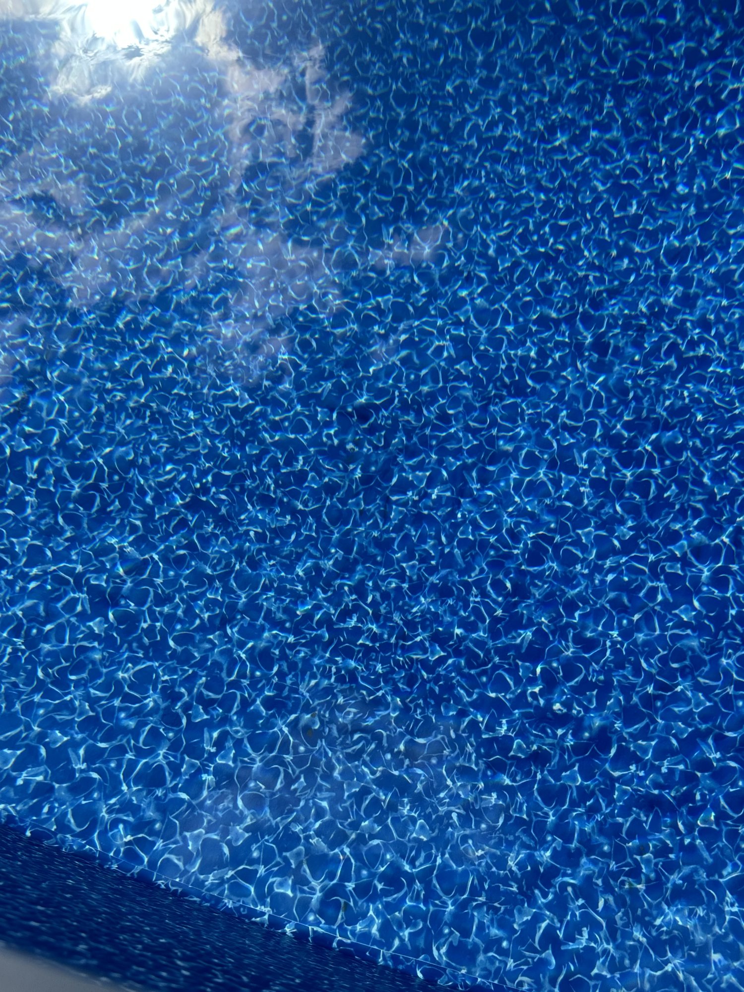 IMG_8966.jpeg