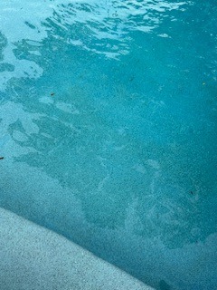IMG_8967.jpeg