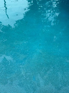 IMG_8969.jpeg