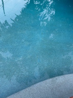 IMG_8971.jpeg