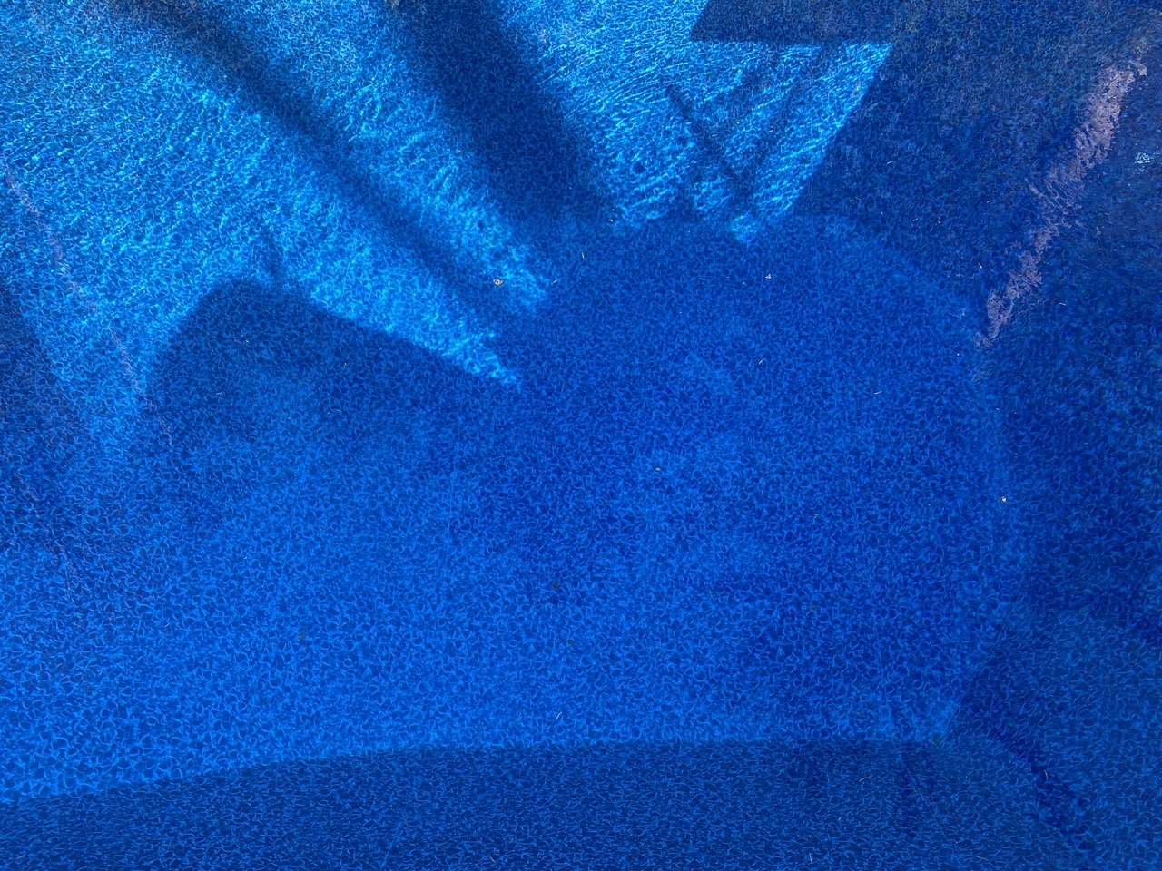 IMG_9092.jpeg