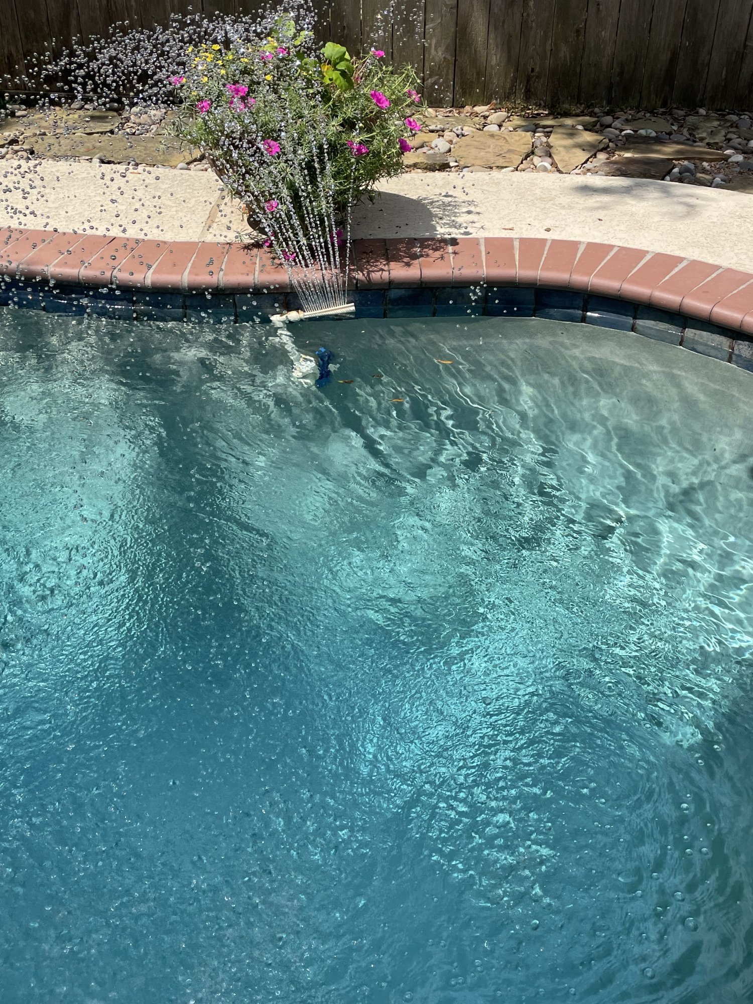 IMG_9519.jpeg