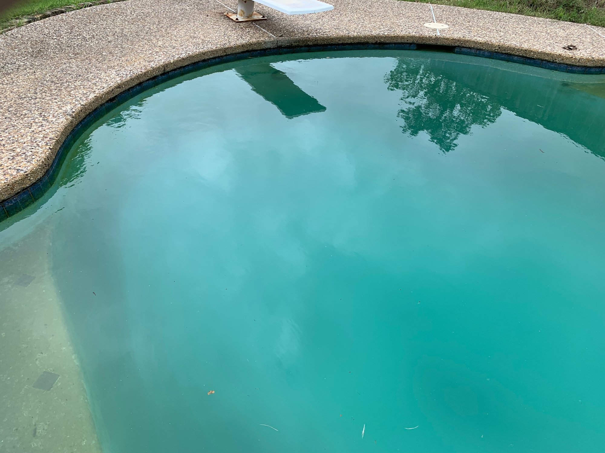 IMG_9546.jpeg