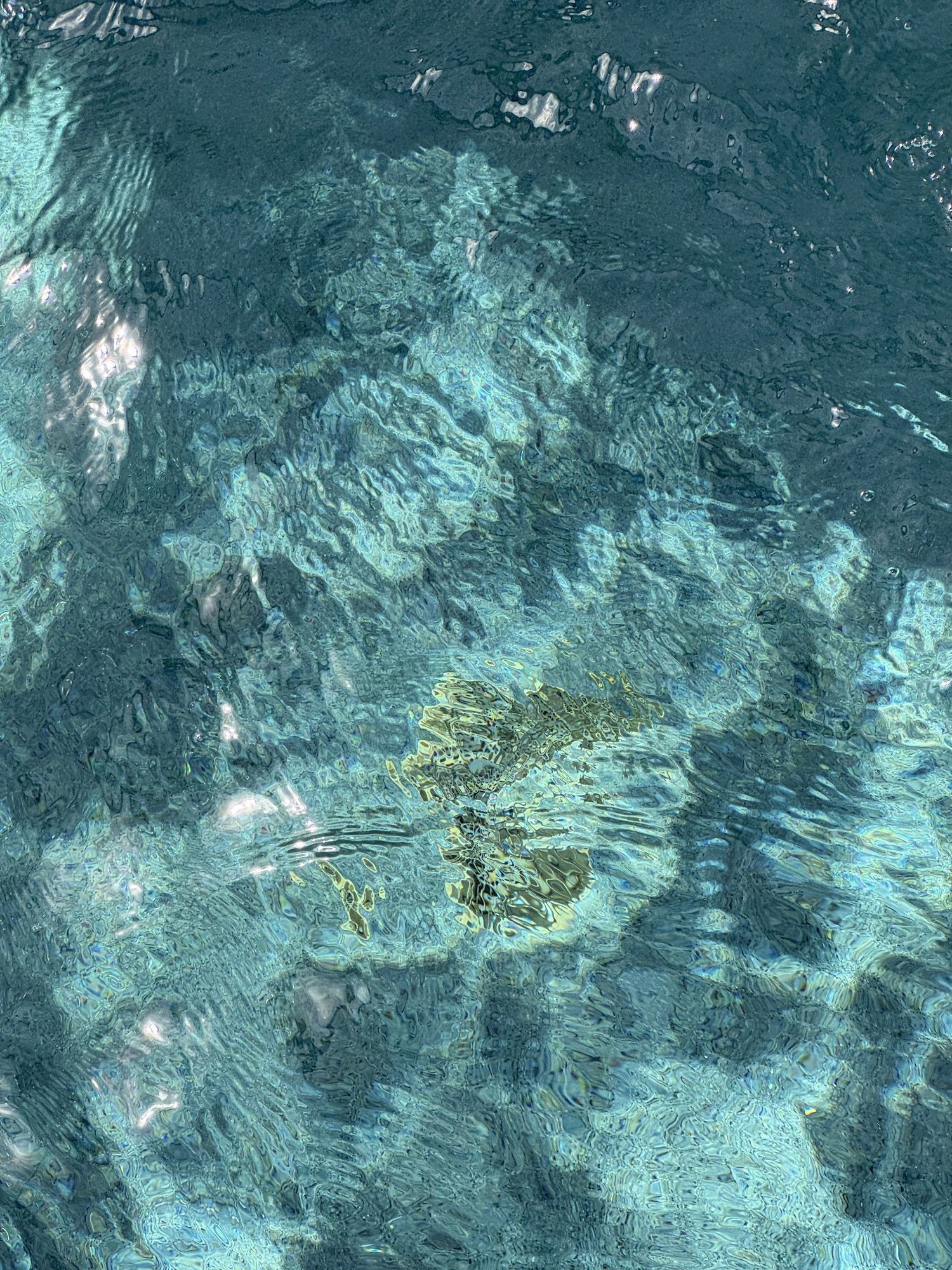 IMG_9580.jpeg