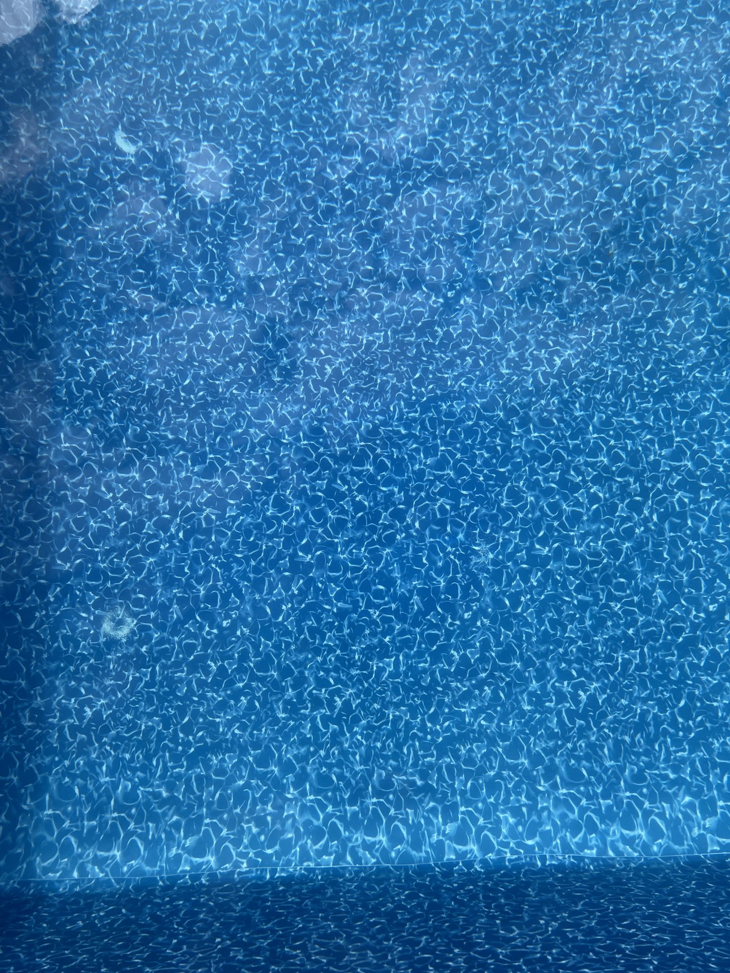 IMG_9654.jpeg
