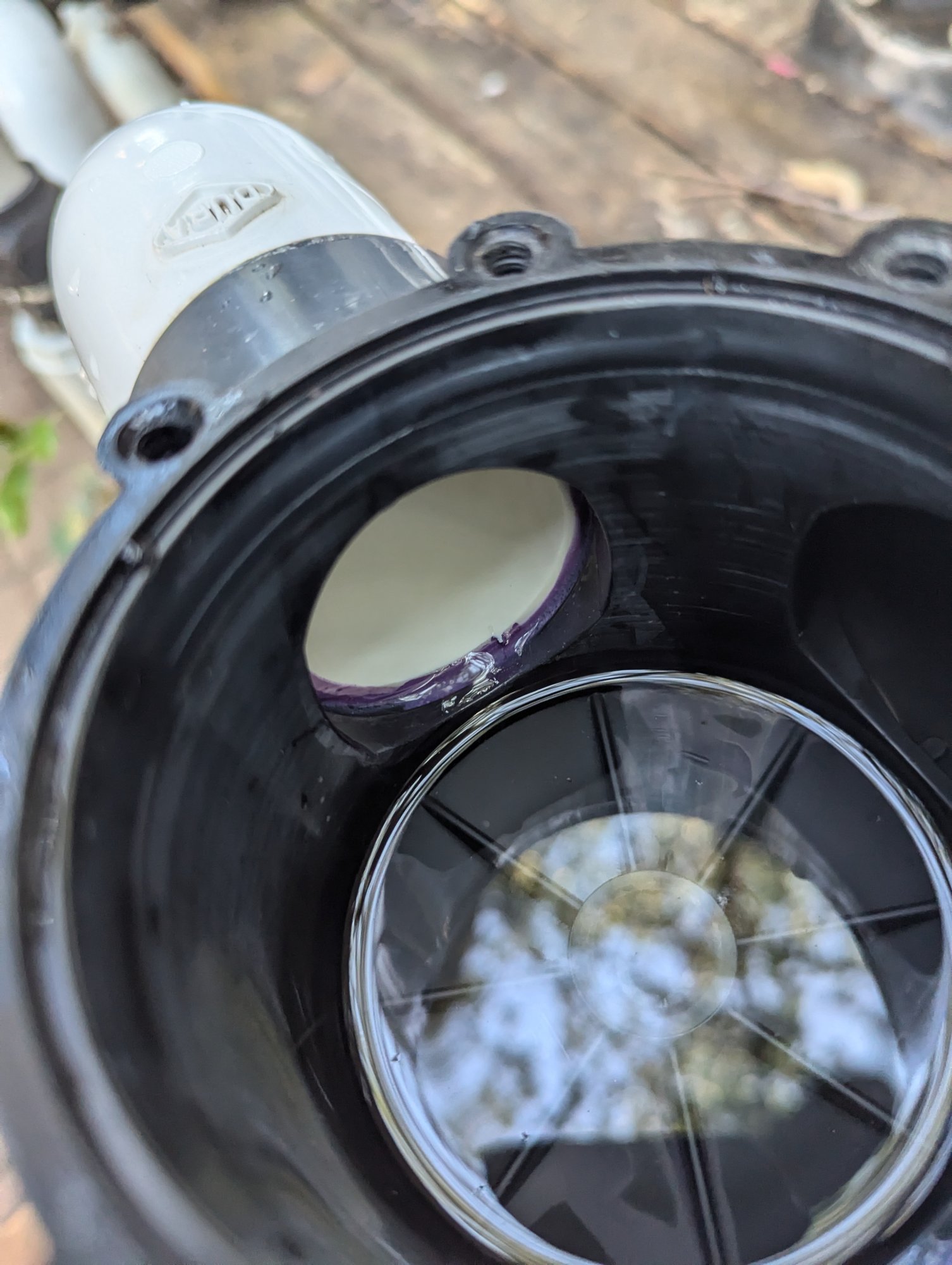 Inside jandy valve looking at pool inlet.jpg