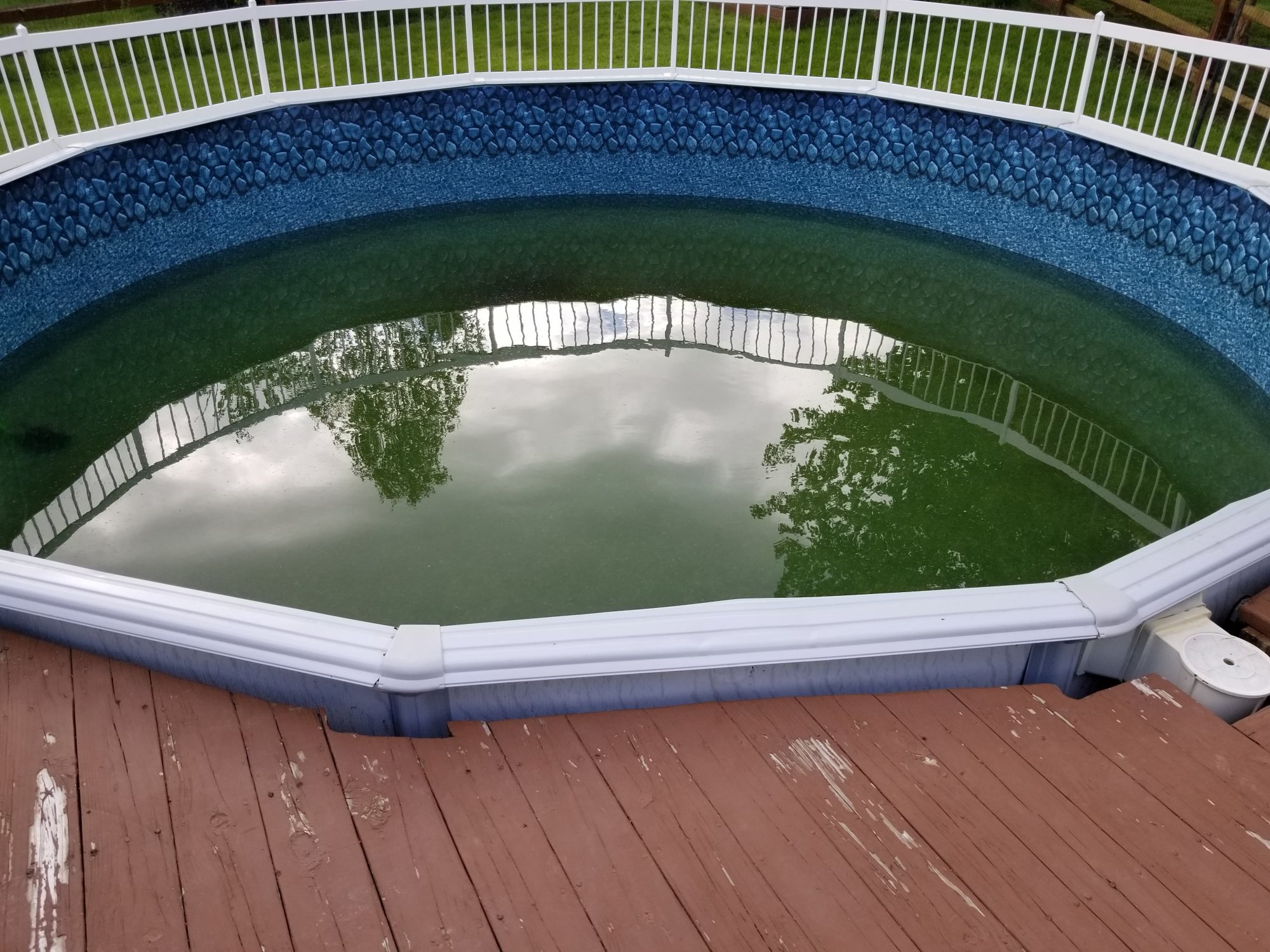 jen pool 4.jpg