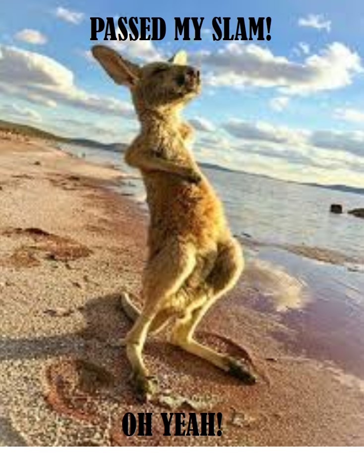 Kangaroo Passed SLAM