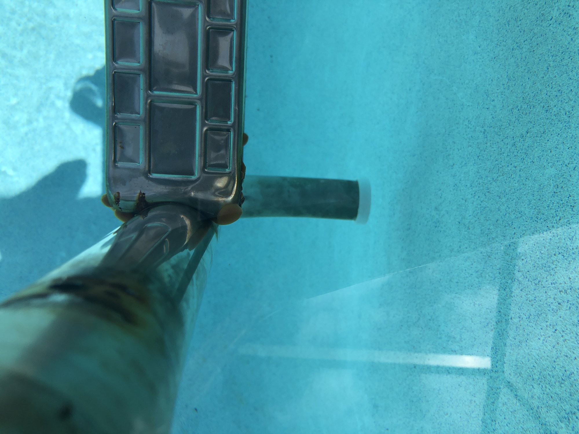 ladder 1 .jpg