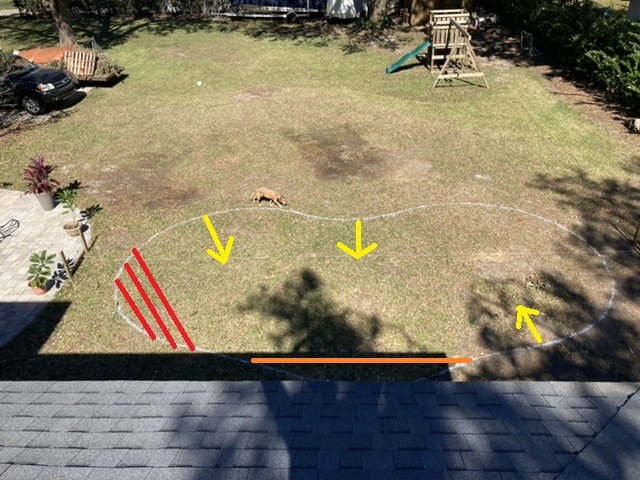 layout3.jpg