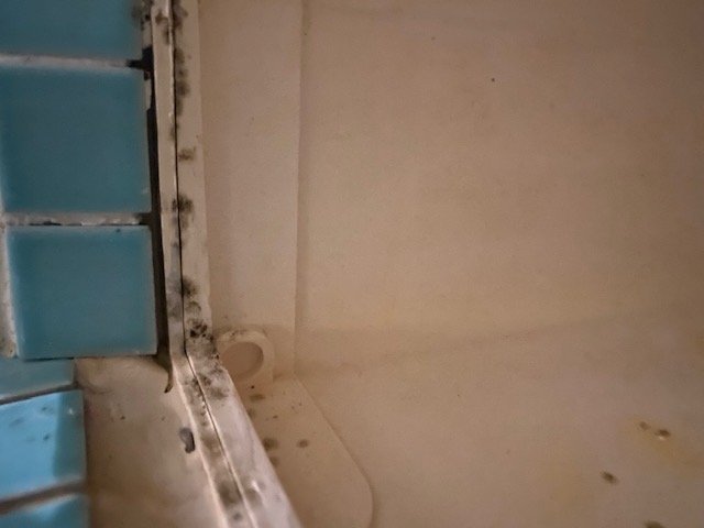 left side.jpg