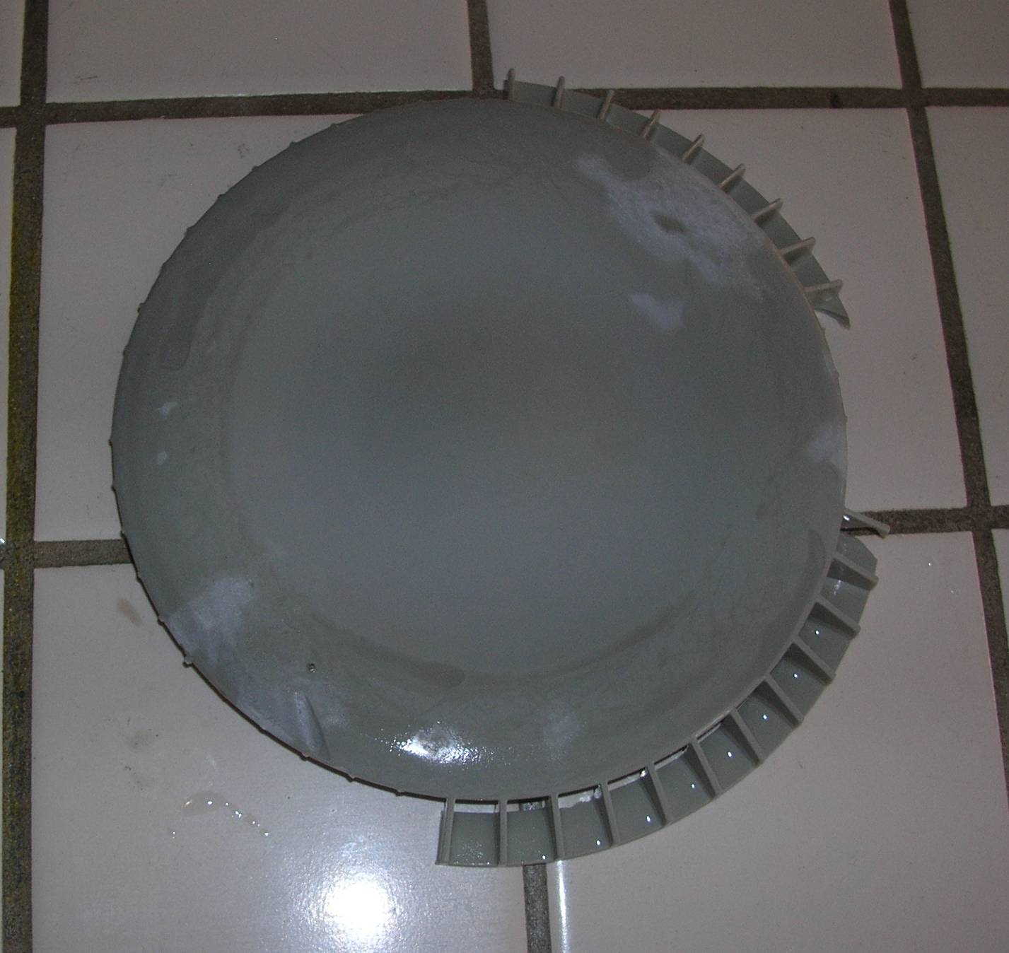 Lid-1.jpg