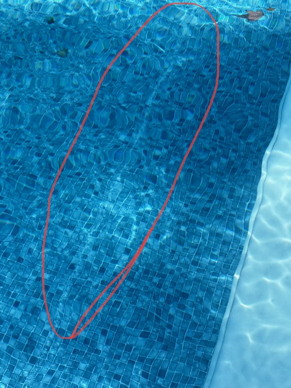 Liner.jpeg