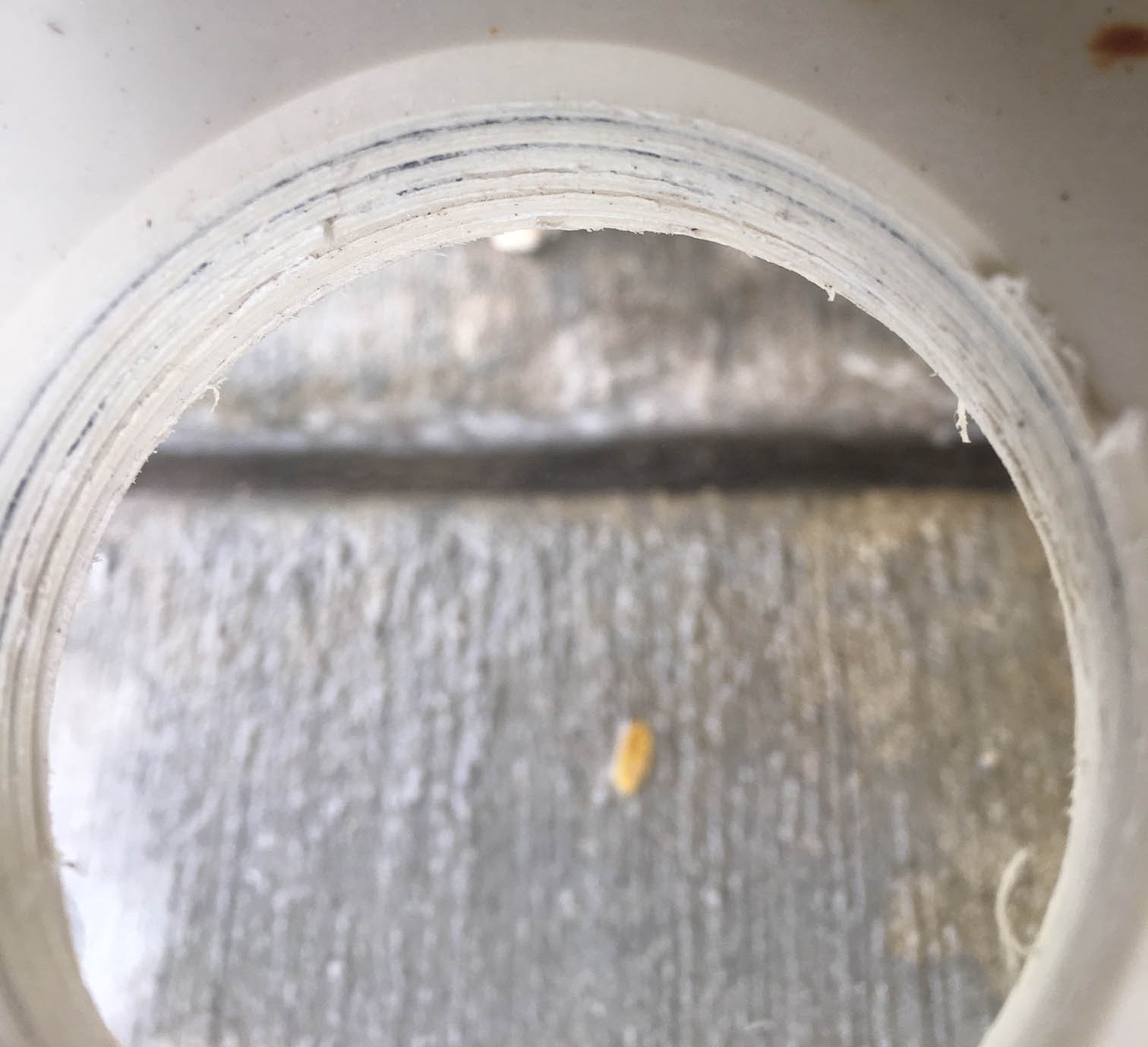 Looking Down.jpg