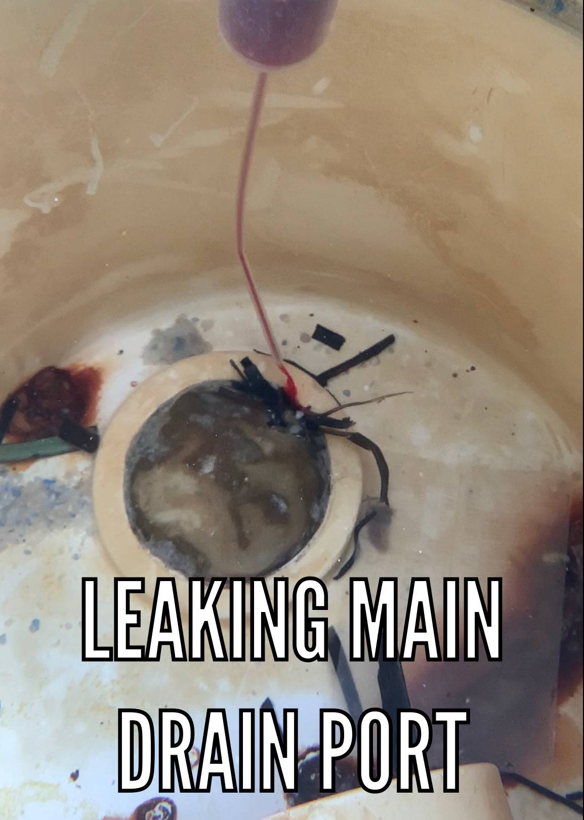 Main Drain Port.jpeg