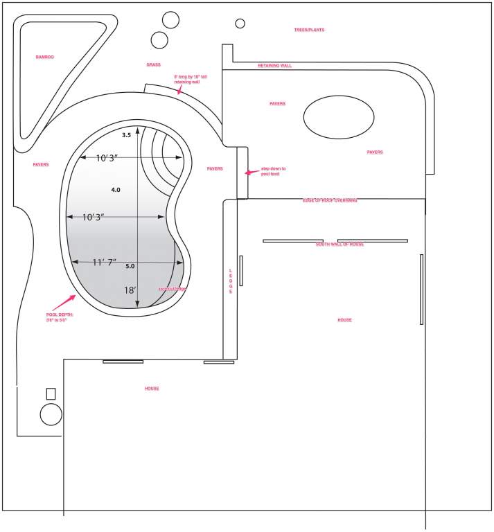 McDonald_Pool_Kidney_May14.jpg