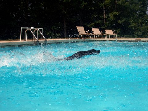molly_pool_again 001.jpg
