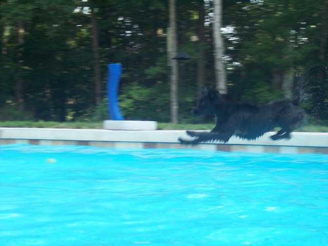 molly_pool_again 003.jpg