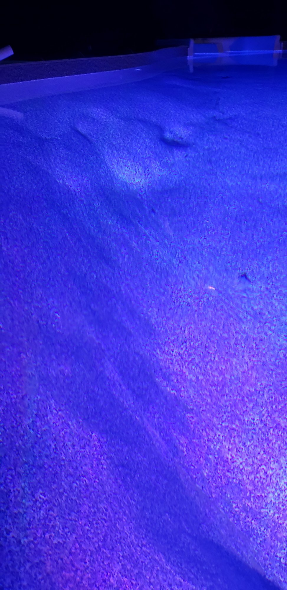 moonscape pool 2.jpg