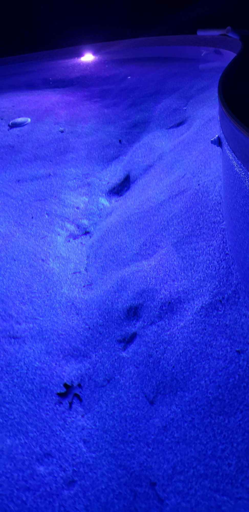 moonscape pool 3.jpg