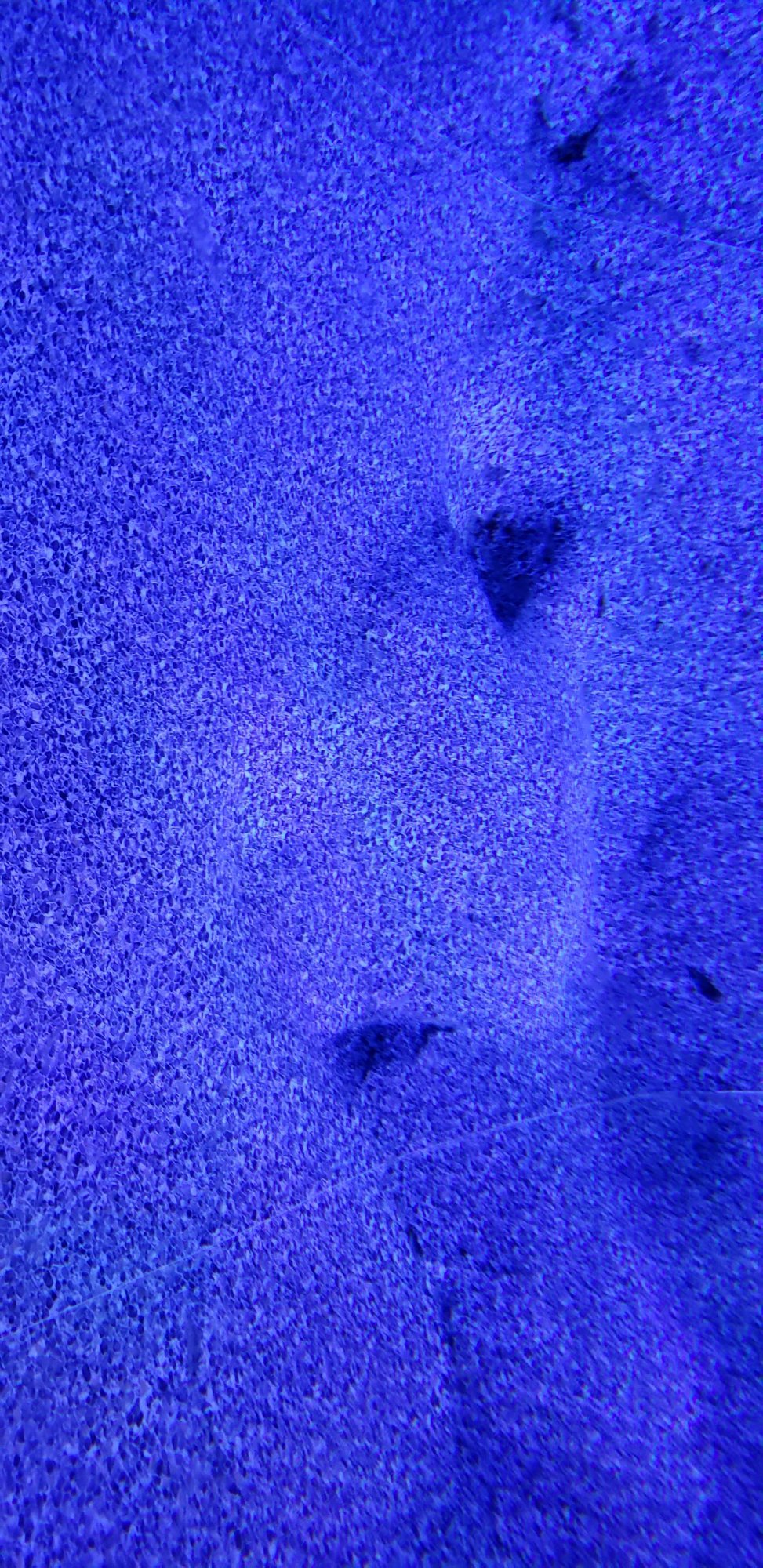 moonscape troubles.jpg