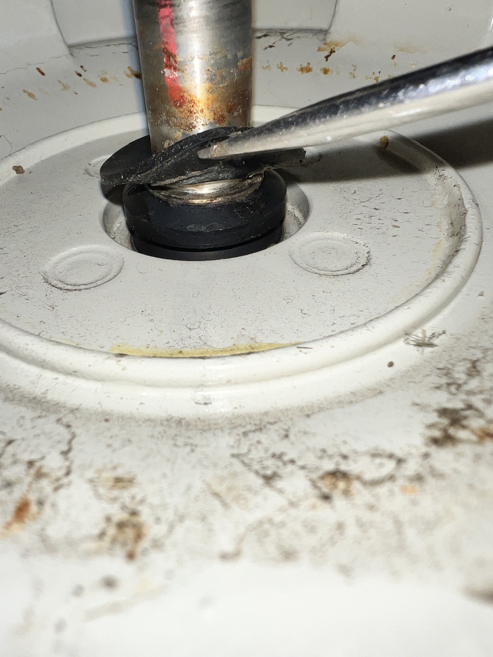 Motor Shaft Seal 2.jpeg