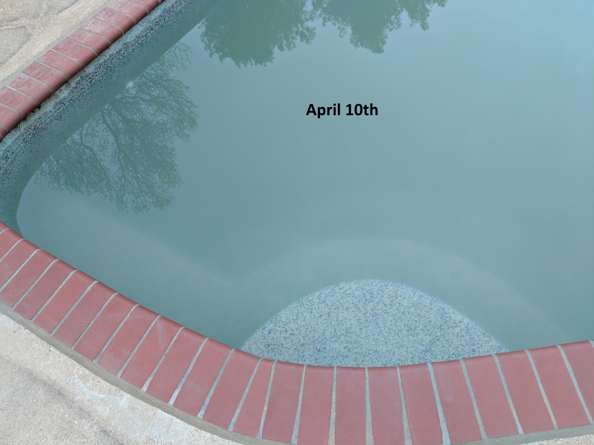 MVIMG_20190410_063712.jpg