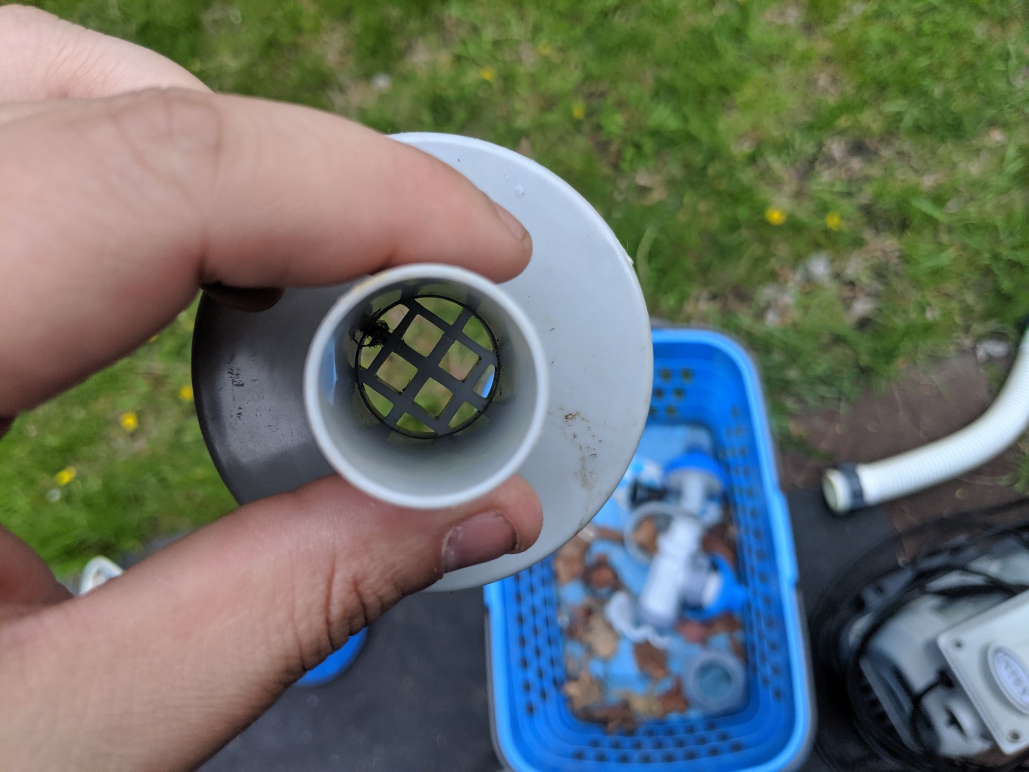 MVIMG_20190523_190952_compress90.jpg