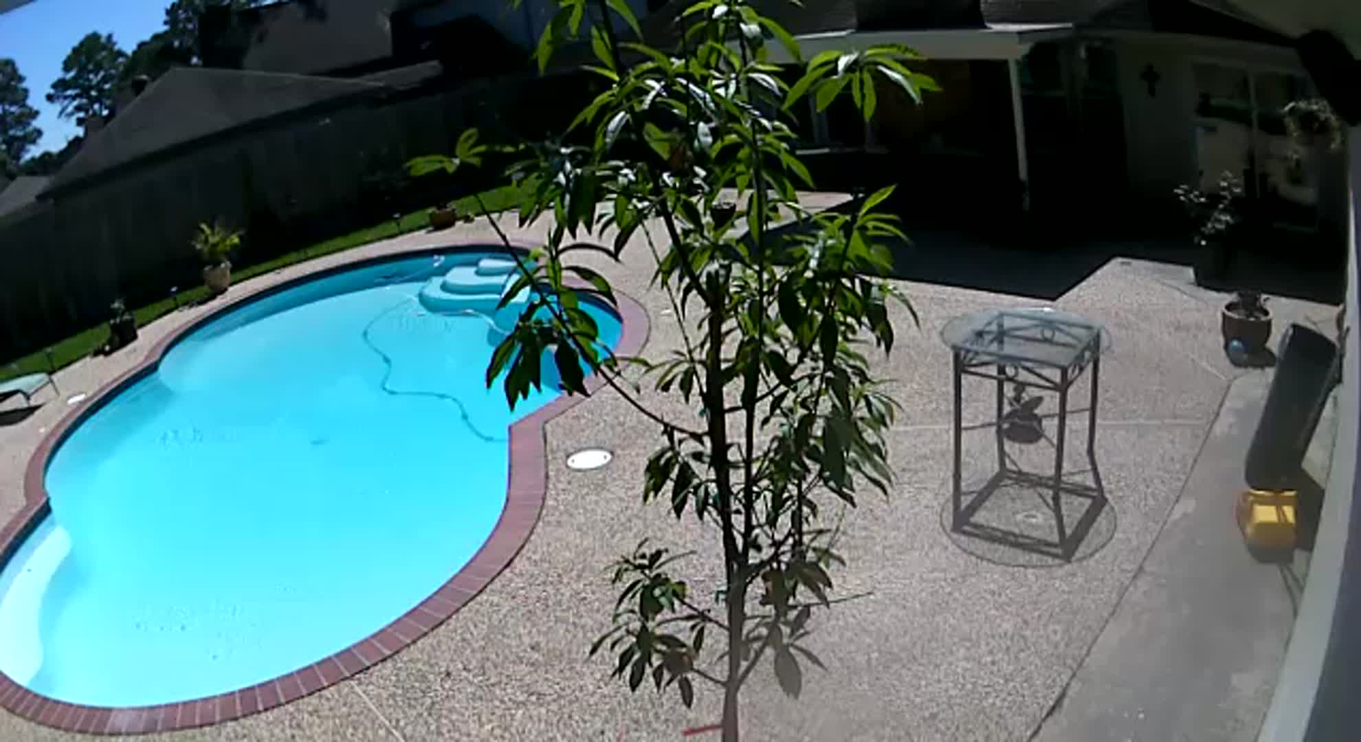 My Pool 2.jpg