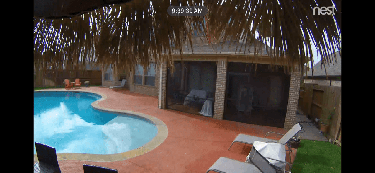 Nest footage.png