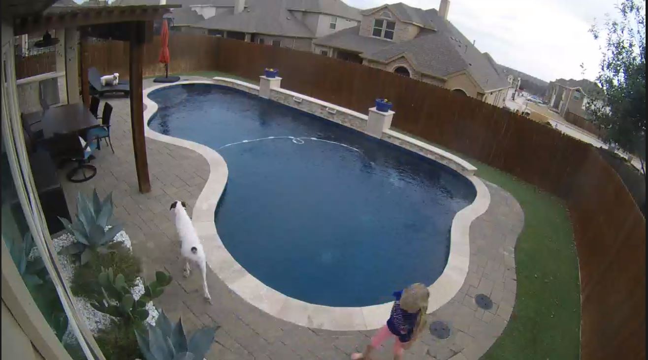 Nest Pool Winter.JPG