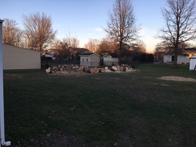 No More Trees South.jpg
