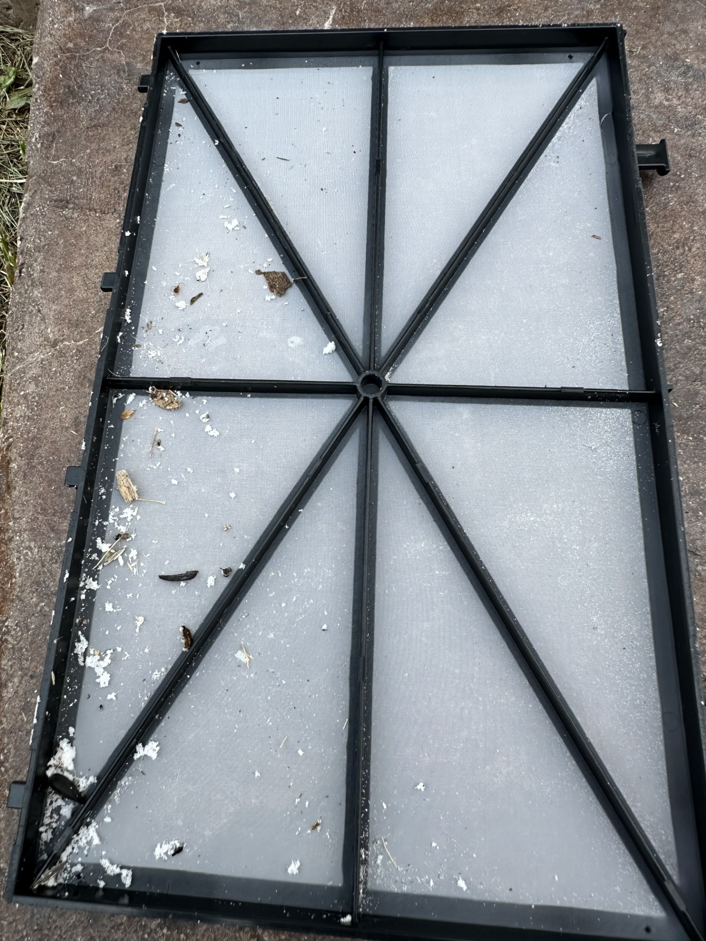 Old zeo fiber in robot filter.jpg