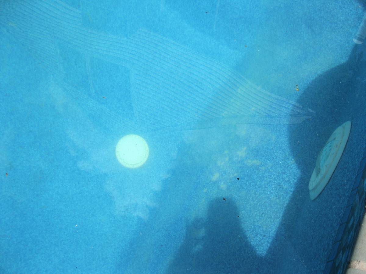Optimized-pool.jpg