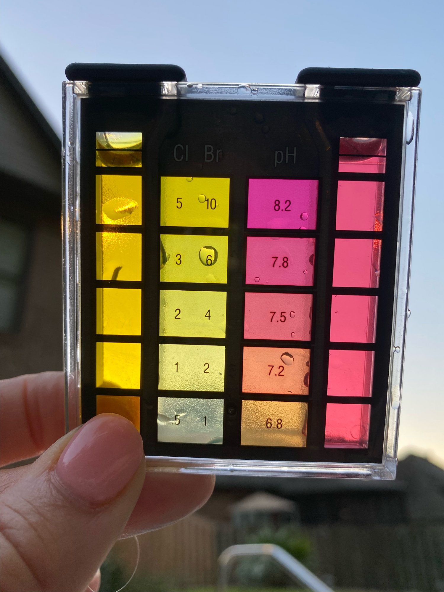 pH test.jpeg