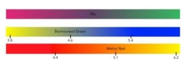 pH_Indicator_Chart R-0008_1.jpeg