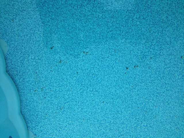 Pic1.JPG