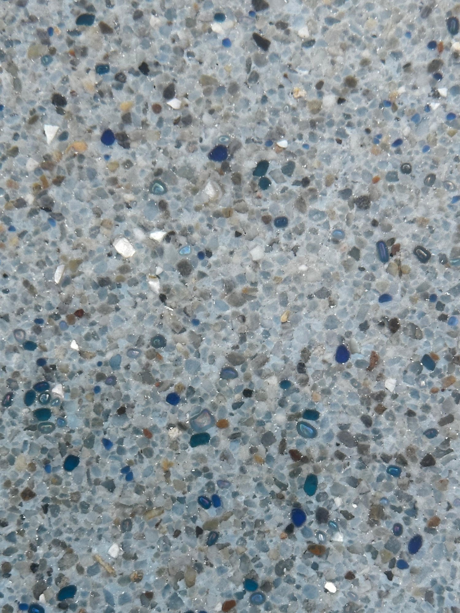 PIC3.jpg